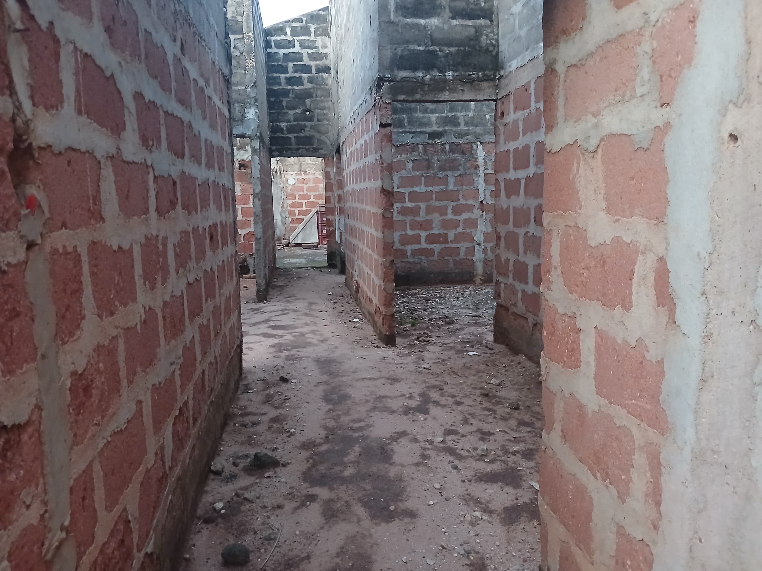 Une image de l'annonce